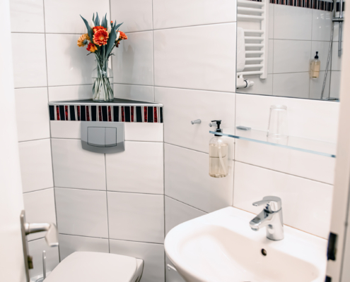 Single Room Bathroom